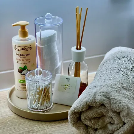 Luxury Penthouse Near The アンティーブ